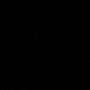 Meet your Posher, Brendon